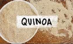 SEMILLAS DE Quinoa