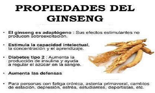 Jalea real con ginseng
